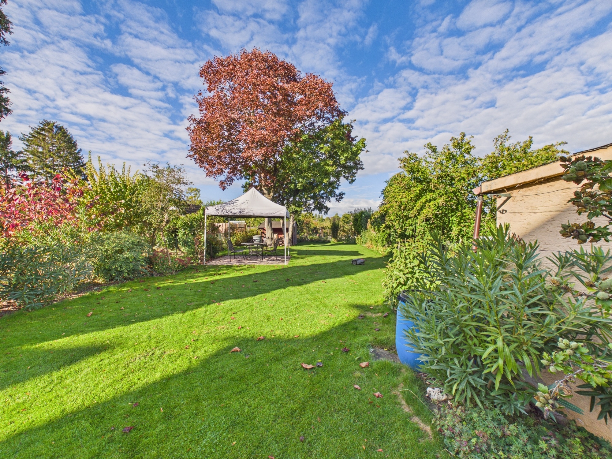 Ein Garten zum Verlieben & viel Platz für die Familie in 67065 Ludwigshafen am Rhein – DESEO Immobilien Mannheim 11/31